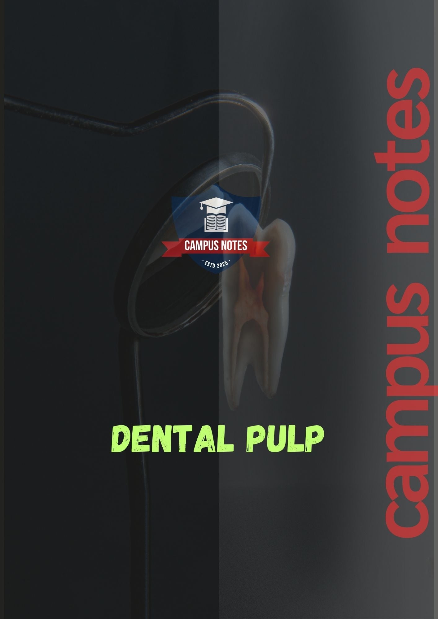 DENTAL PULP